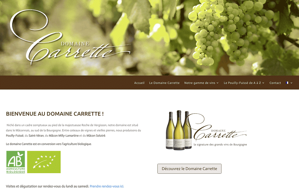 SITE_INTERNET_TERZA_RIMA_DOMAINE_CARRETTE